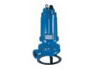 Pentax Water Pumps DTRT300