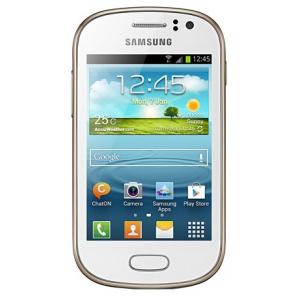 Основное фото Сотовый телефон Samsung Galaxy Fame GT-S6810 