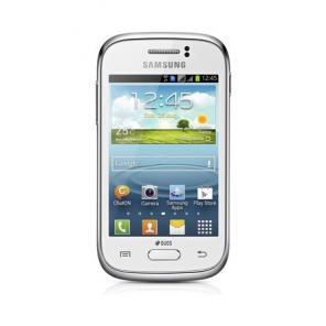 Основное фото Samsung Galaxy Young S6312 