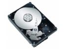Seagate ST3500620AS