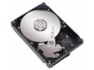 Seagate ST3808110AS